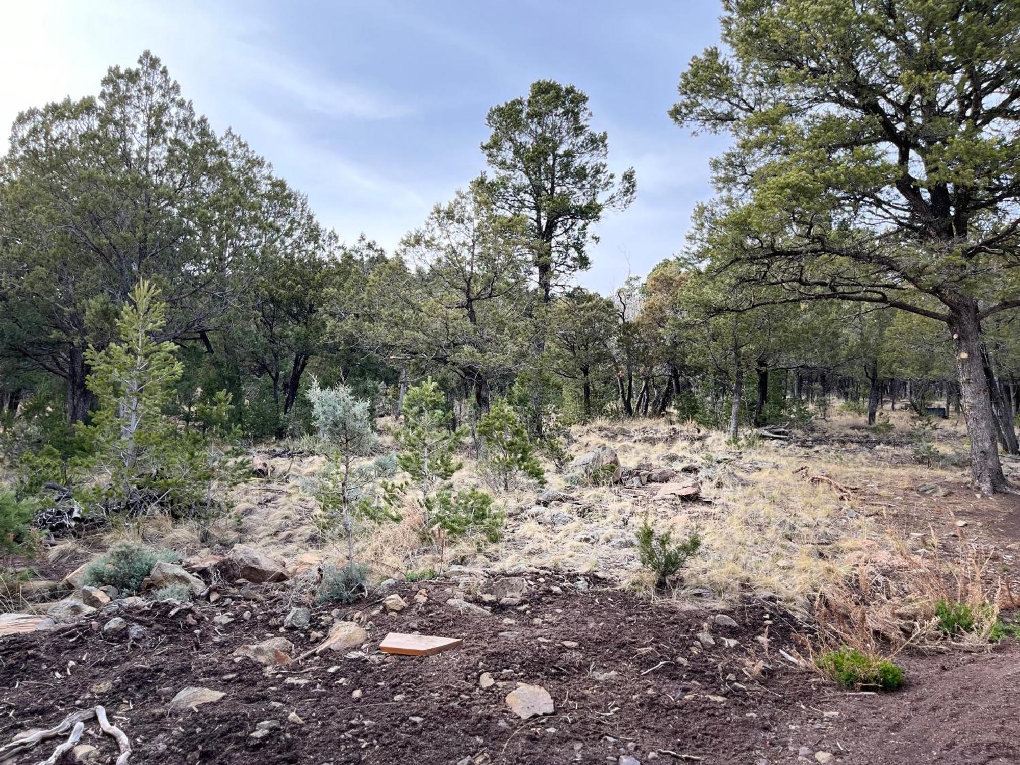 Thunder Hollow Ruidoso Zewnętrze zdjęcie